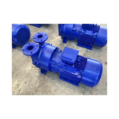 Water Ring Vacuum Pump Ideal for in Metallurgy Power Chemical and Pharmaceutical Industries with Energy Saving Performance